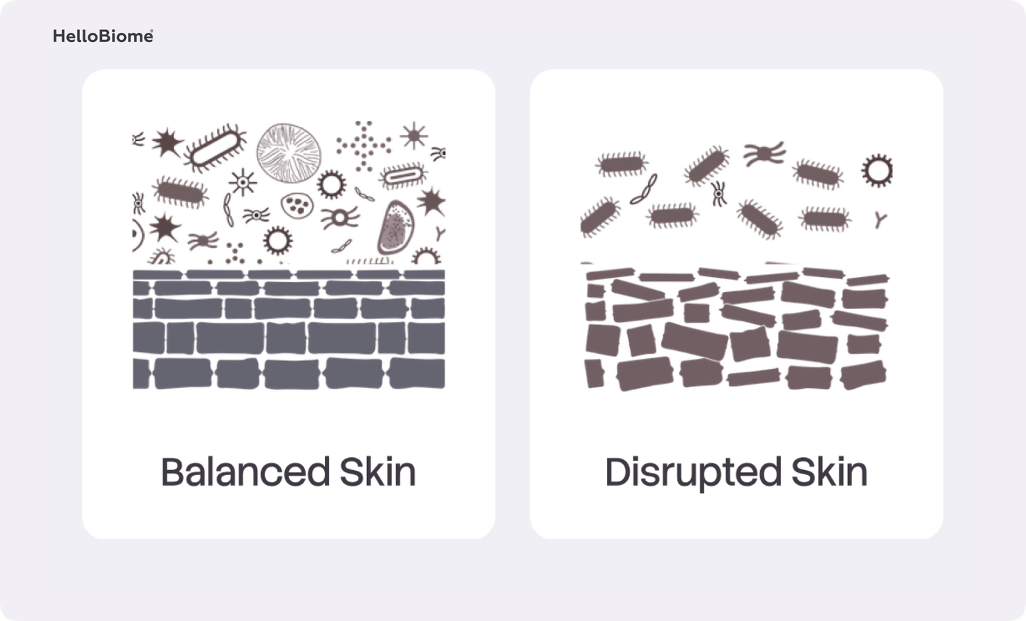 Balanced Skin vs. Disrupted Skin illustration linked to four skin conditions covered in this article: Acne, Rosacea & Sensitive Skin, Eczema (Atopic Dermatitis), and Aging.