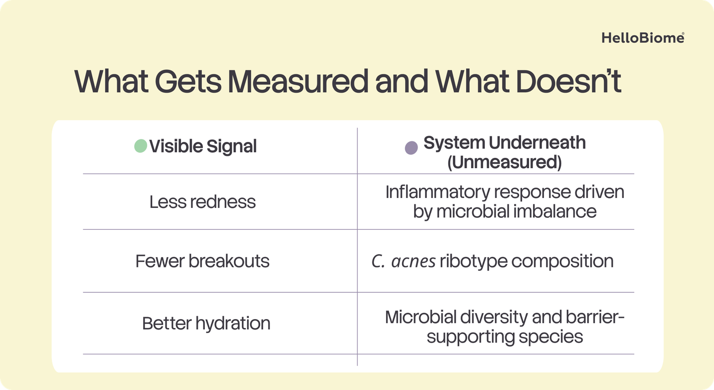 Table titled 'What Gets Measured and What Doesn't,' comparing visible signals (less redness, fewer breakouts, better hydration) to the unmeasured system underneath (inflammatory response, C. acnes ribotype composition, microbial diversity).