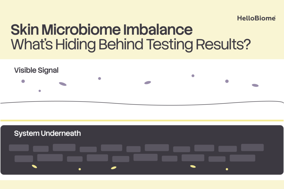 Skin Microbiome Imbalance: What's Hiding Behind Testing Results? — illustration contrasting a sparse 'Visible Signal' layer with a dense 'System Underneath.