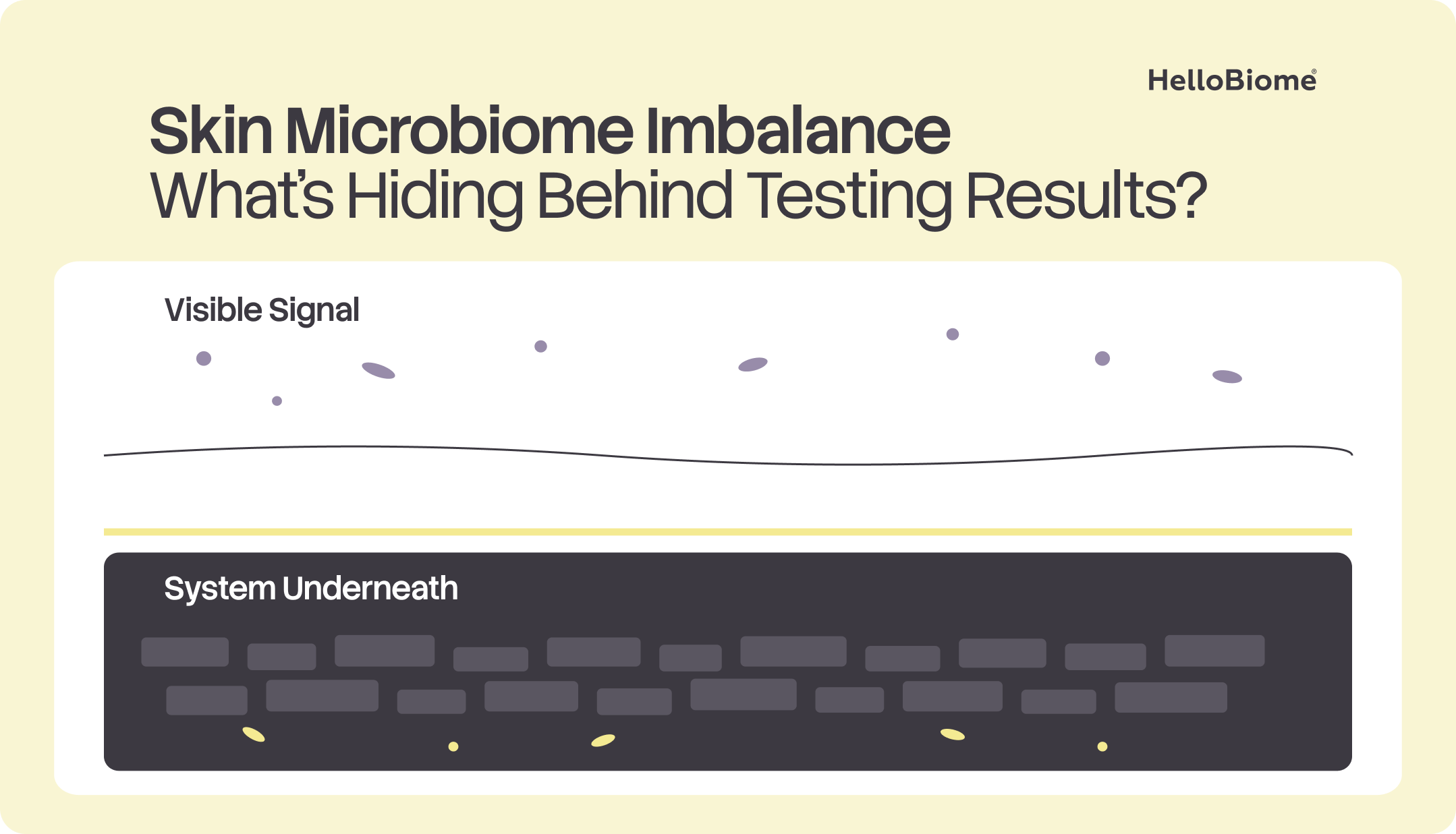 Skin Microbiome Imbalance: What's Hiding Behind Testing Results? — illustration contrasting a sparse 'Visible Signal' layer with a dense 'System Underneath.